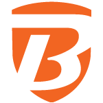 Best Electronics Limited