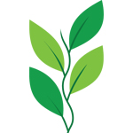 LinkVision Software Solution